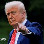 Donald Trump’s tariffs will hurt global growth, OECD warns