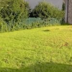 Anger at ‘libelous’ online comments on West Mayo land sale