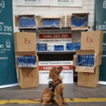 Revenue seizes 13 million cigarettes at Dublin Port
