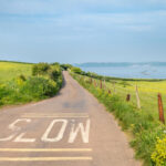 The Sunday Drive: In praise of the lost joy of going nowhere slowly