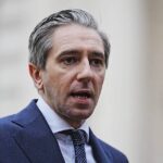 Plan for savings scheme within four months, Simon Harris says